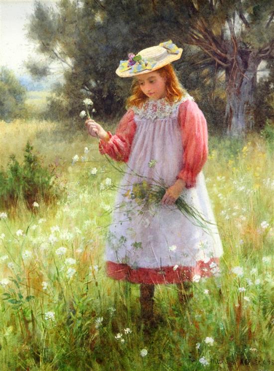 William Affleck (1869-1909) Girl picking wild flowers 16 x 12.5in., unframed